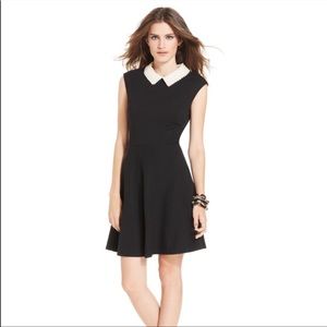 Betsy Johnson Pearl Collared Fit and Flare Dress